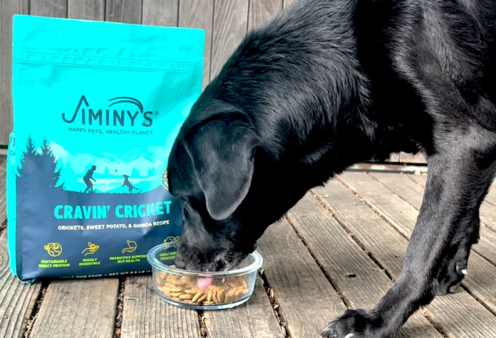 stop diarrhea in dogs