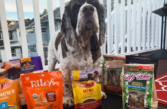 high value treats for dogs