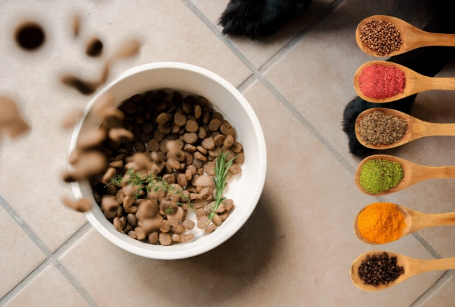 seasonings good for dogs