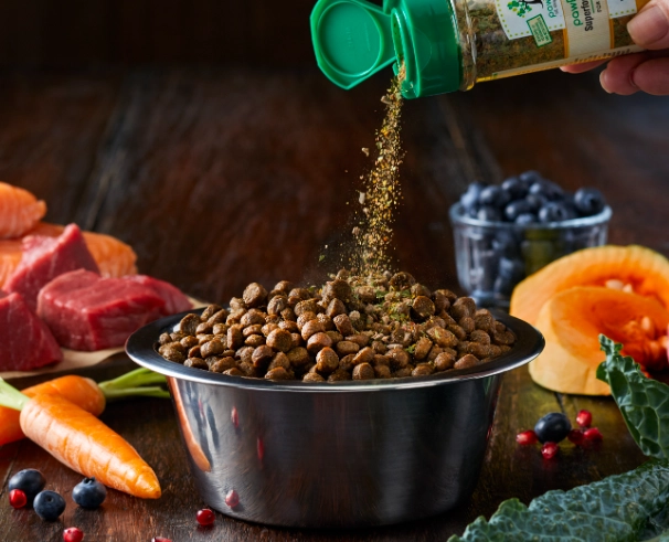 healthy dog food toppers