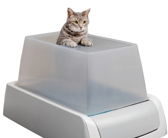 best small litter box