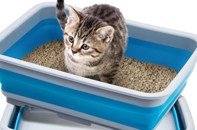 small litter box