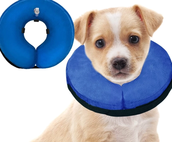 dog neck donut