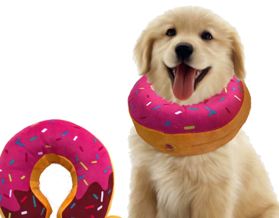 inflatable dog cone alternative