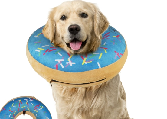 dog donut cone