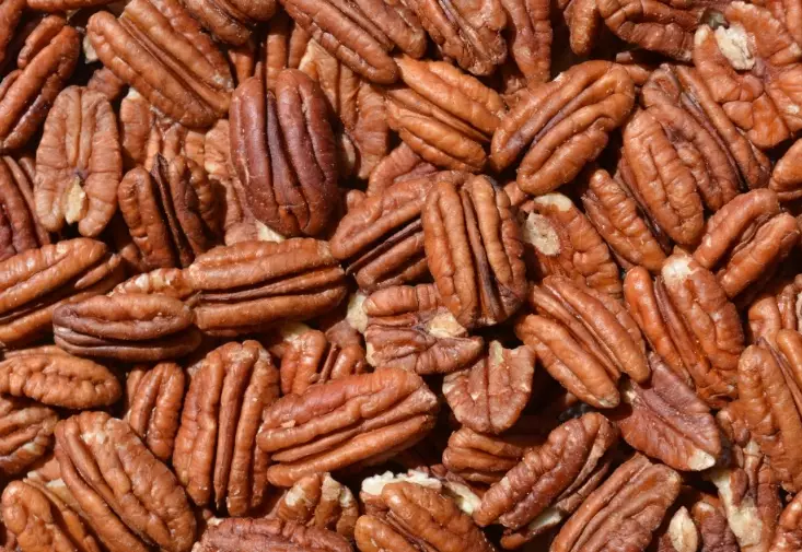 nuts dogs can eat nuts dogs can eat