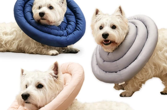 inflatable dog collar inflatable dog collar