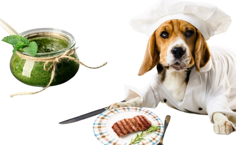 homemade dog food seasoning homemade dog food seasoning