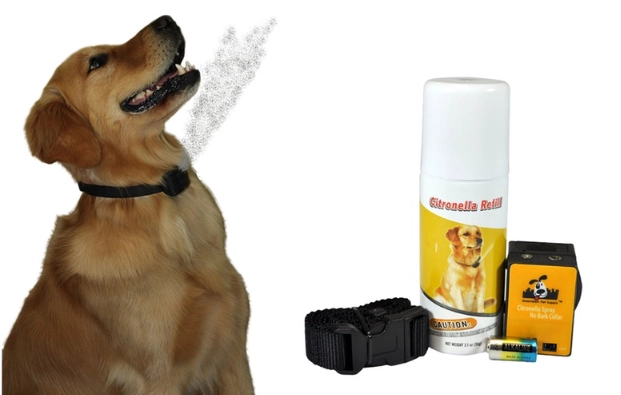 dog safe bug spray