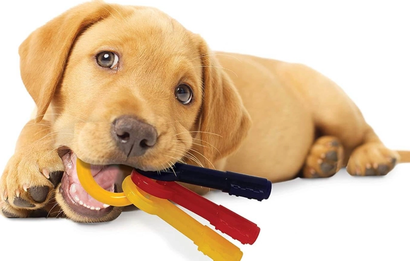 best teething toys for puppies best teething toys for puppies