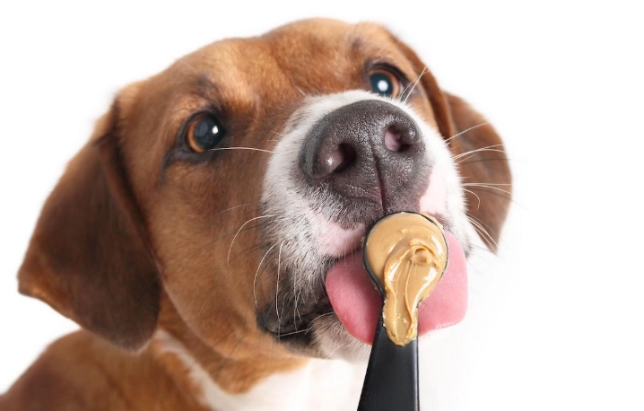 peanut butter for dogs safety