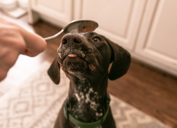 peanut butter for dogs peanut butter for dogs