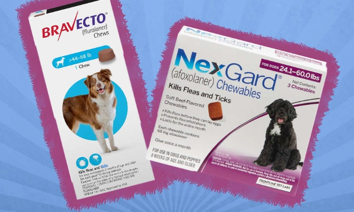 oral flea medicine for dogs