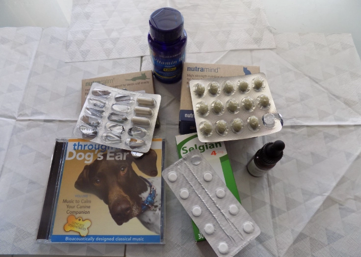 dog dementia medicine