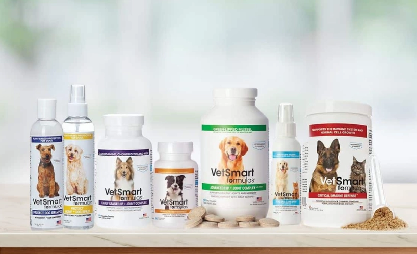 canine dementia treatment canine dementia treatment