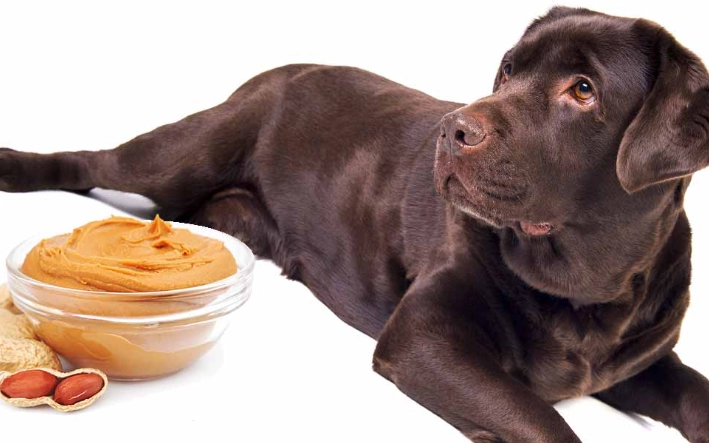 xylitol in peanut butter