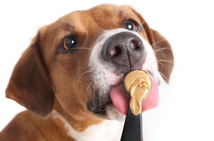 xylitol in peanut butter