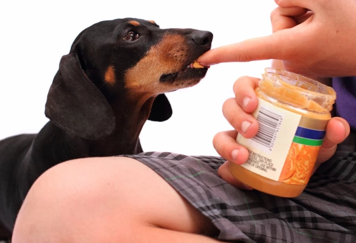 peanut butter for dogs