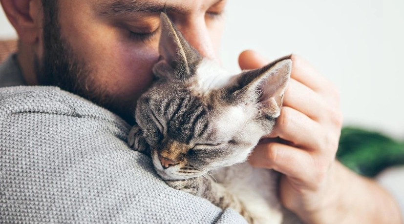 cat communication sounds