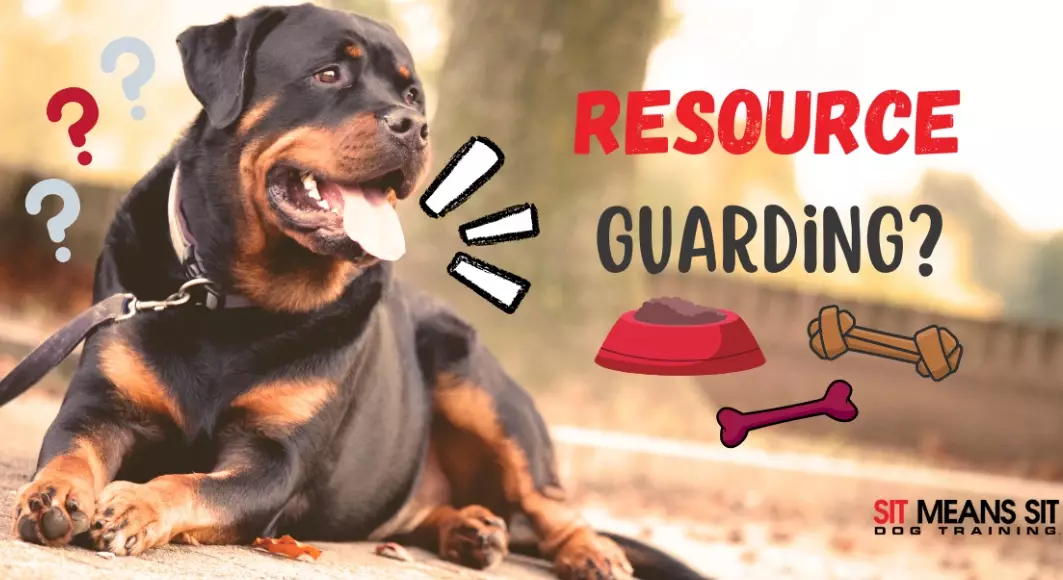 resource guarding dogs