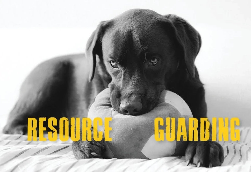 resource guarding training