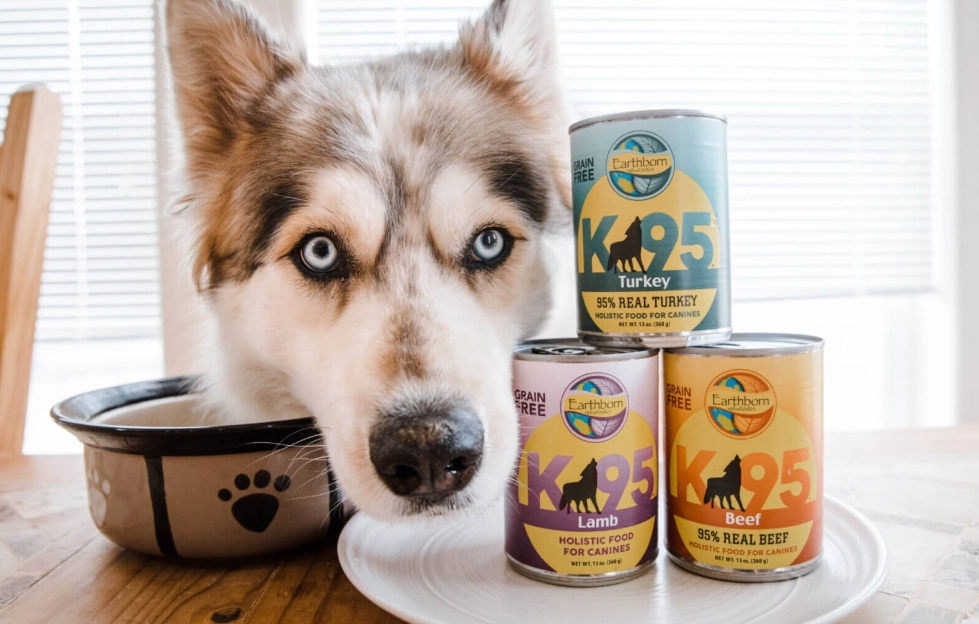 how to make dog food taste better