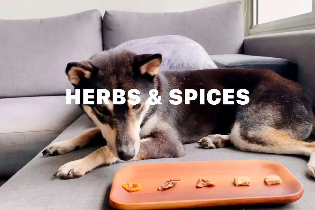 spices for dogs