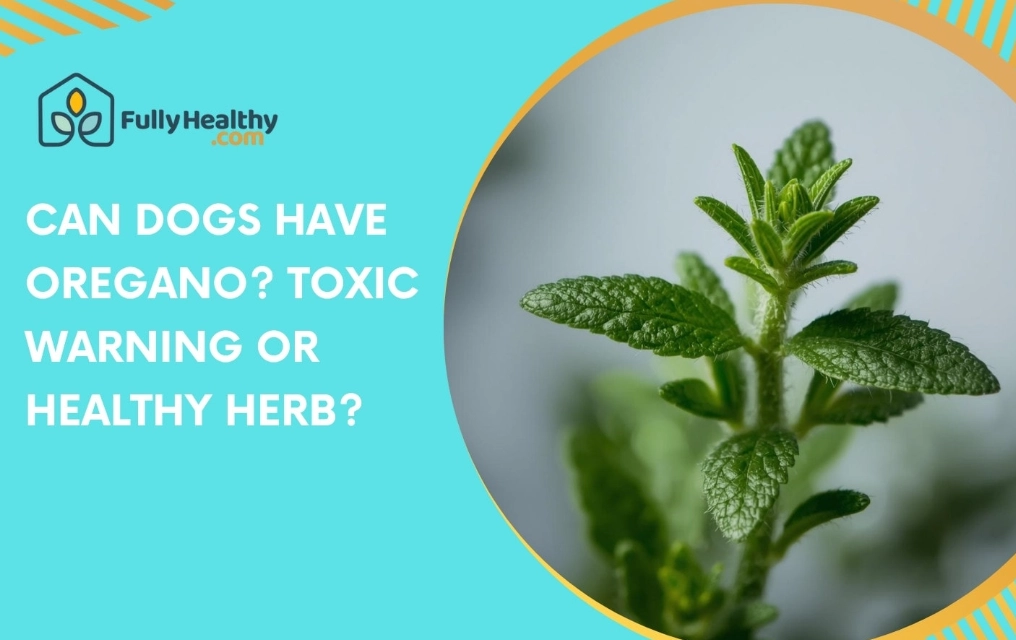 herbs toxic to dogs herbs toxic to dogs