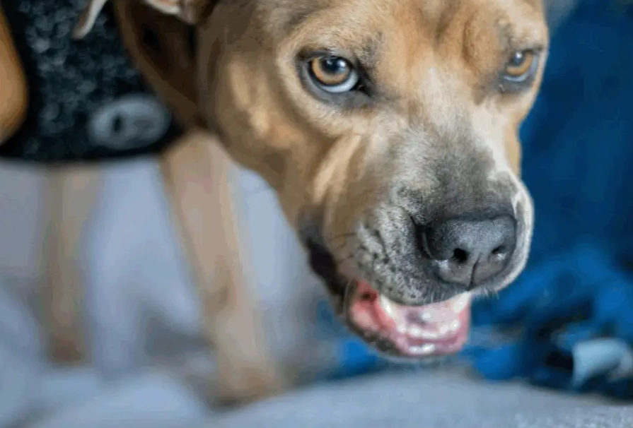 how to stop resource guarding