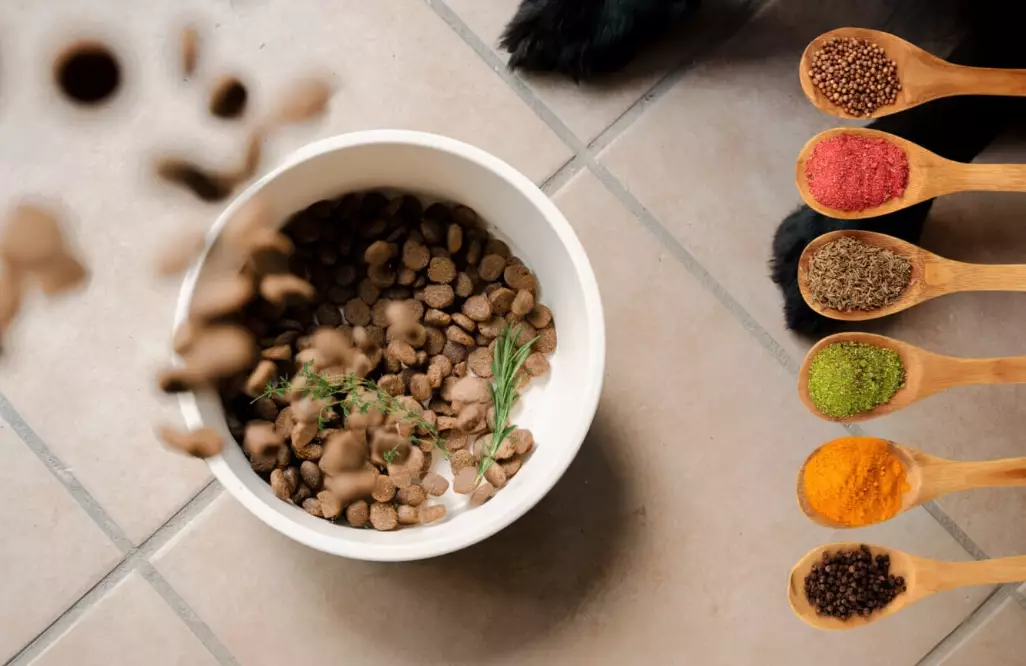 What seasonings are dog safe?