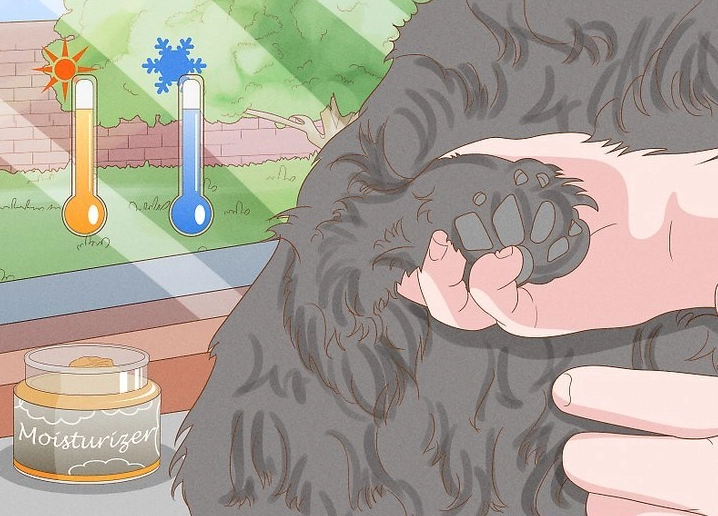How often should I moisturize my dog's paws?