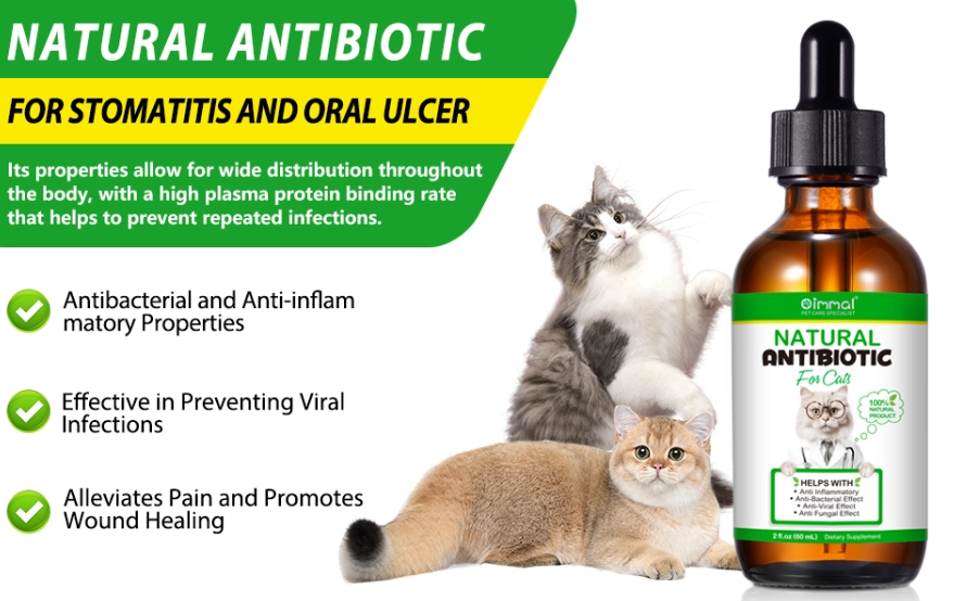 cat scratch home remedy cat scratch home remedy