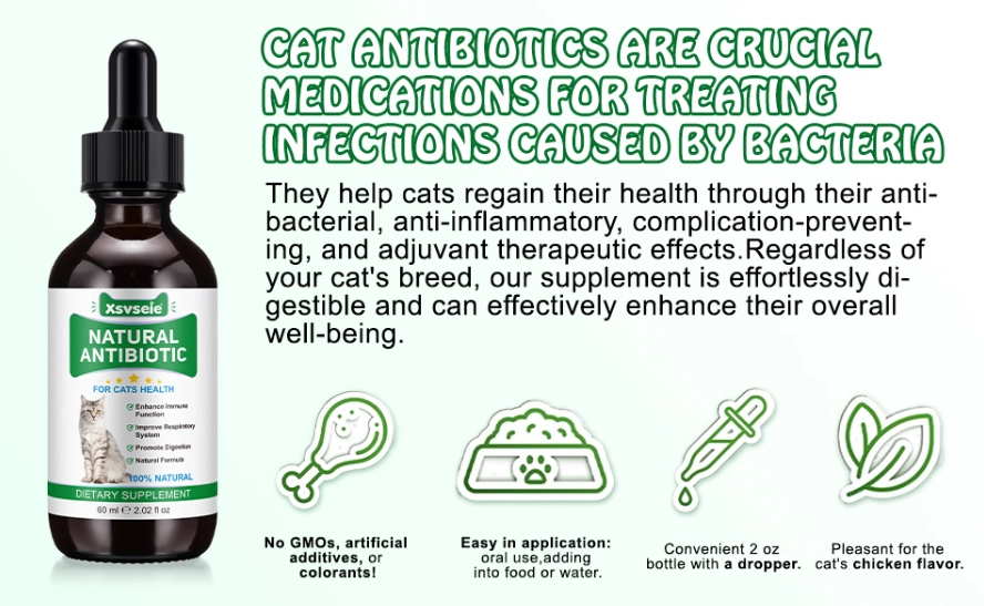 natural antiseptic for cat scratch natural antiseptic for cat scratch