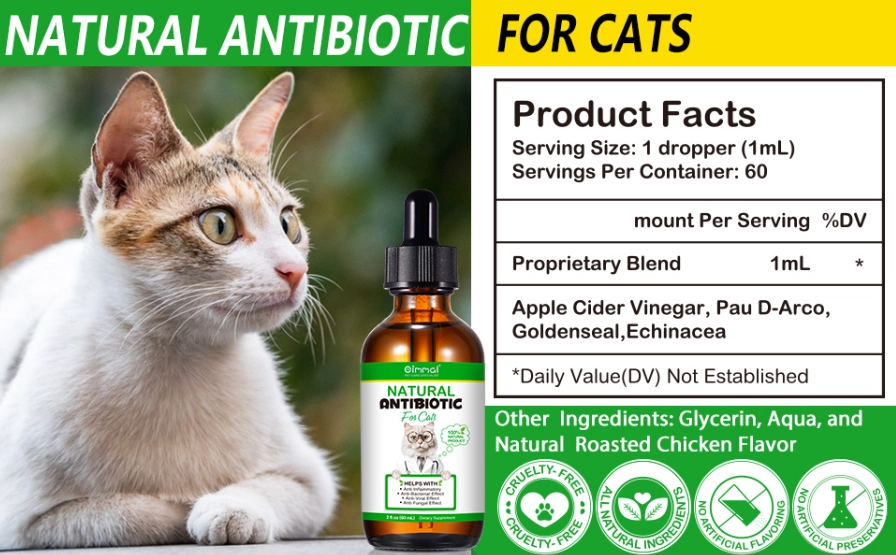 treat cat scratch at home treat cat scratch at home