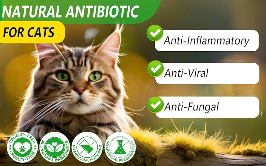 cat scratch home remedy cat scratch home remedy