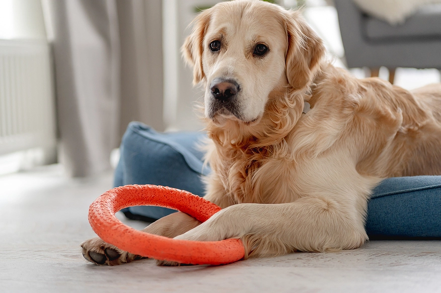 how to stop resource guarding