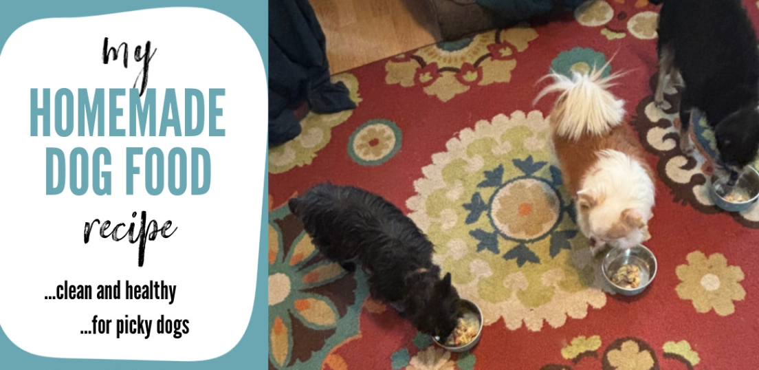 What can I put in my dog's food to spice it up?