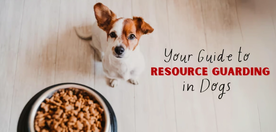 resource guarding training resource guarding training