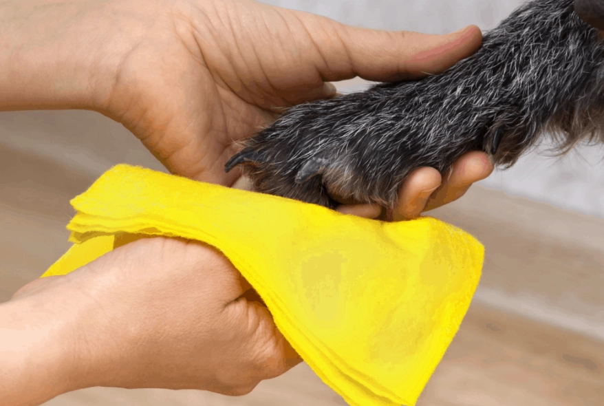 dog paw wash natural dog paw wash natural