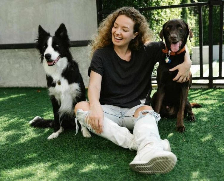 dog aggression towards other dogs