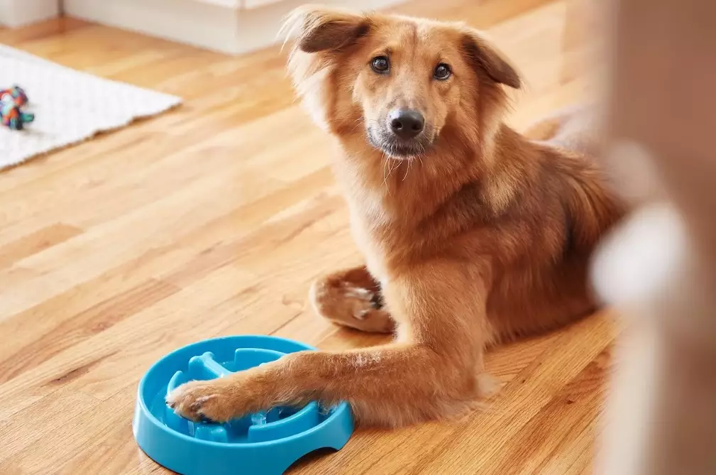 resource guarding training