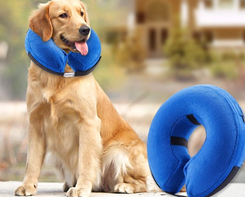 neck pillow for dogs