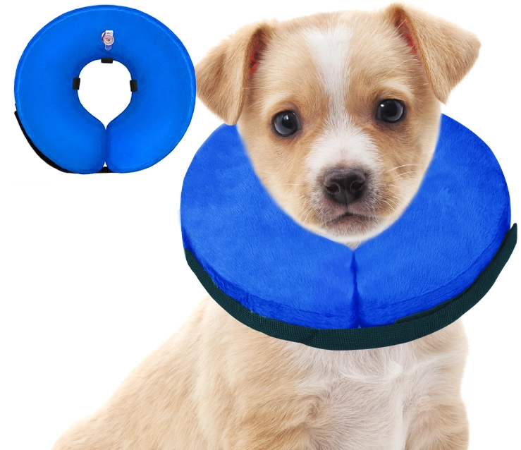 inflatable dog collar inflatable dog collar