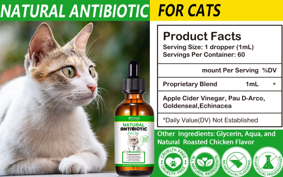cat scratch antibiotic cat scratch antibiotic