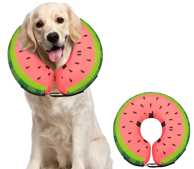 dog recovery suit dog recovery suit