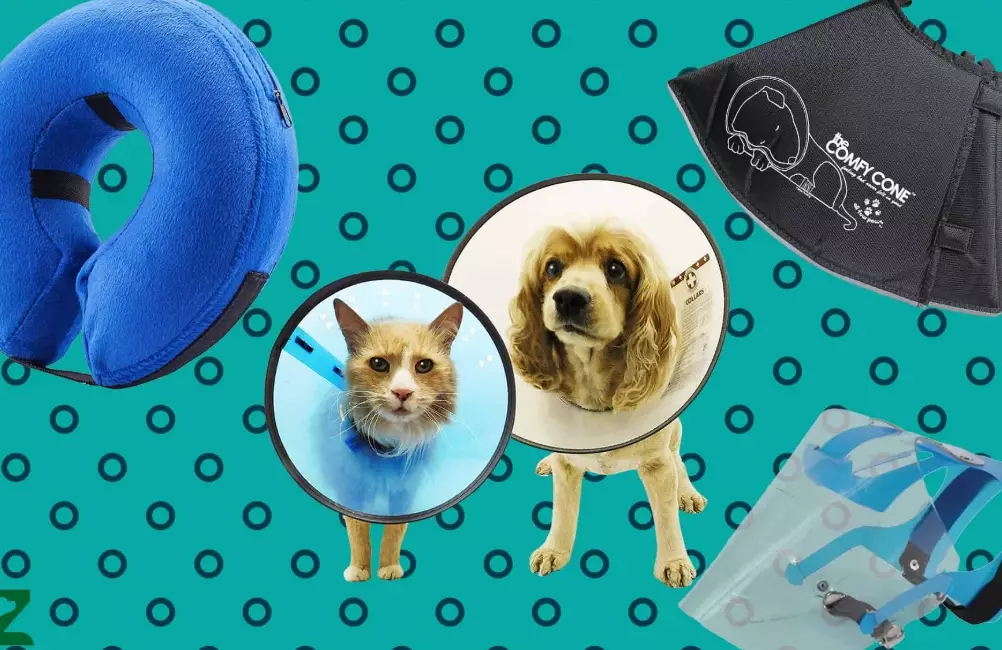 recovery suit for dogs