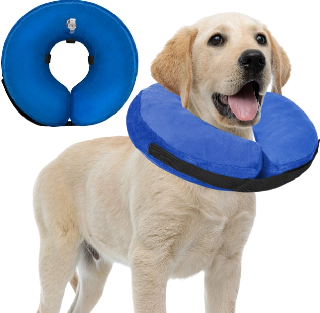 how to make a dog recovery collar