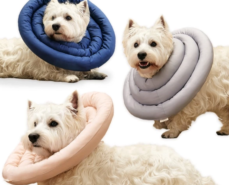 dog cone alternative DIY