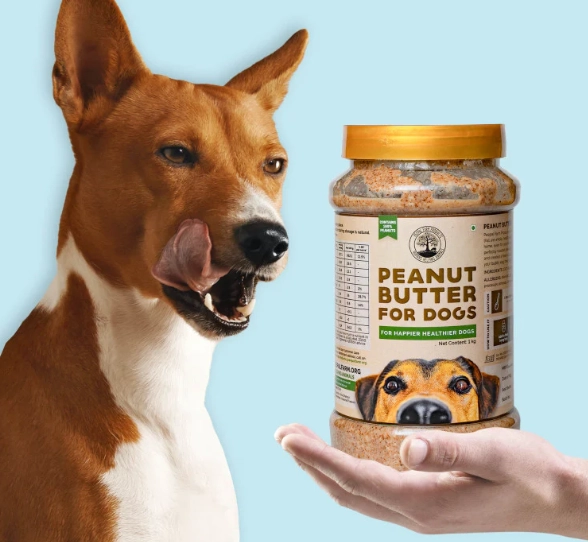 Salted Peanuts for Dogs: Why They're Unsafe & Healthy Treat Swaps