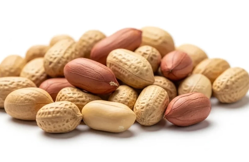 salted peanuts bad for dogs